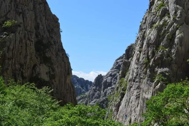 Holiday Home Zeljko,Marija & Jakov 斯塔利格拉德-帕克利尼卡 外观 照片