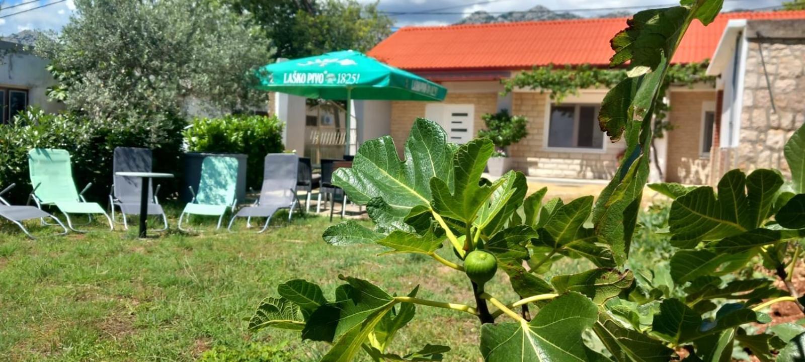 Holiday Home Zeljko,Marija & Jakov 斯塔利格拉德-帕克利尼卡 外观 照片